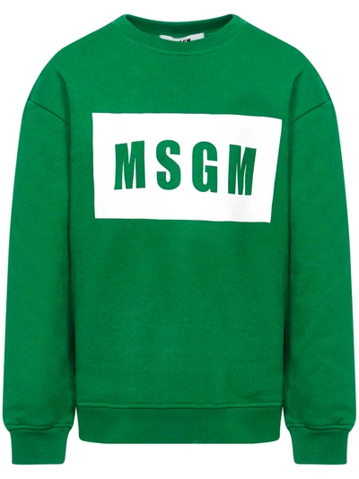 Msgm Kids Sweatshirt In Green
