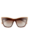 Rag & Bone 53mm Gradient Cat Eye Sunglasses In Brown/ Orange Havana/ Brown