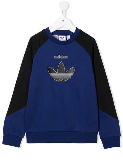 Adidas Originals Logo Print Panelled Sweatshirt In 蓝色
