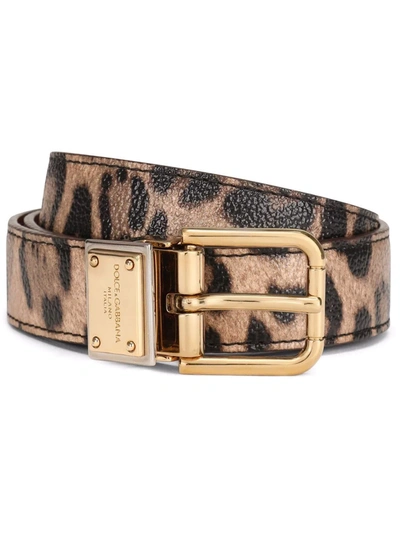 Dolce & Gabbana Leopard-print Crespo Belt With Branded Plate In Multicolor