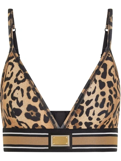 Dolce & Gabbana Leopard-print Cropped Tank Top In Brown