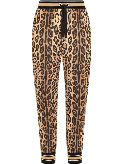Dolce & Gabbana Leopard-print Track Pants In Leo Ingrand Marrone