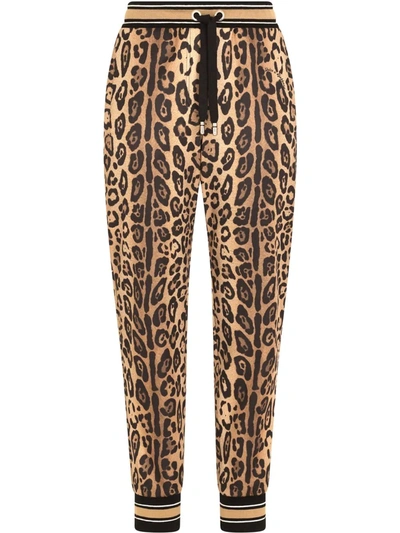 Dolce & Gabbana Jersey Jogging Pants With Leopard Print In Multicolor