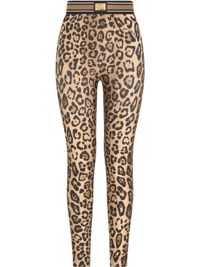 Dolce & Gabbana Leopard-print Spandex/jersey Leggings In Multicolor