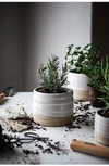 Farmhouse Pottery Small Glazed Stoneware Garden Pot In White