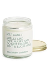 Anecdote Candles Self Care Candle In Cream/ Green
