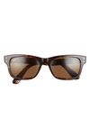 Ray Ban Mr Burbank 55mm Polarized Rectangle Sunglasses In Havana