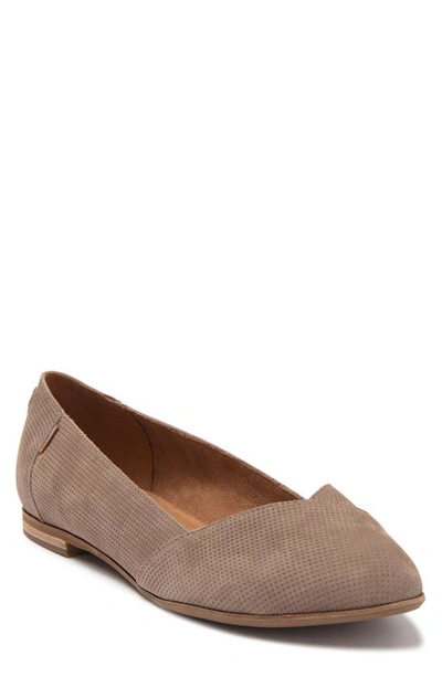 Toms Julie Almond Toe Flat In Taupe Suede