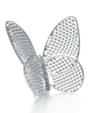BACCARAT 2.5" LUCKY CRYSTAL CLEAR DIAMANTE BUTTERFLY,PROD109020198