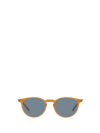 Oliver Peoples Ov5004su Semi Matte Amber Tortoise Sunglasses In Semi Matte Amber Tortoise