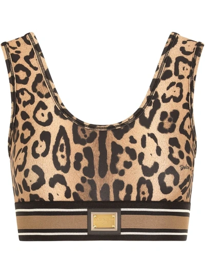 Dolce & Gabbana Leopard-print Spandex/jersey Crop Top In Multicolor