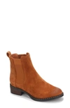 Gentle Souls Signature Double Gore Chelsea Boot In Luggage