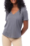 Alternative Organic Cotton V-neck T-shirt In Earth Ocean