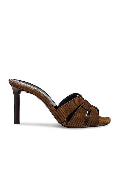 Saint Laurent Tribute 85mm Mules In Brown