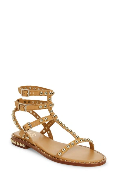 Ash Play Studded Sandal In Nude