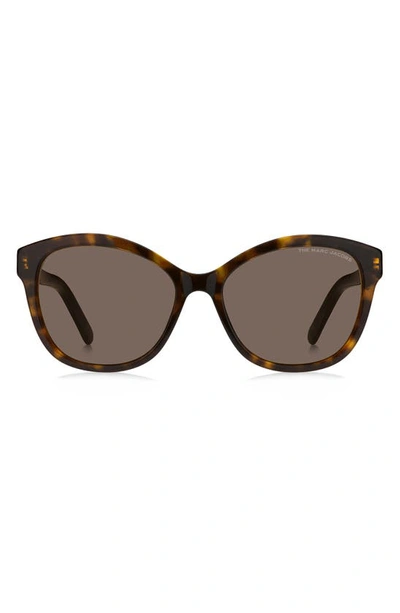 Marc Jacobs 55mm Round Sunglasses In Havana / Brown