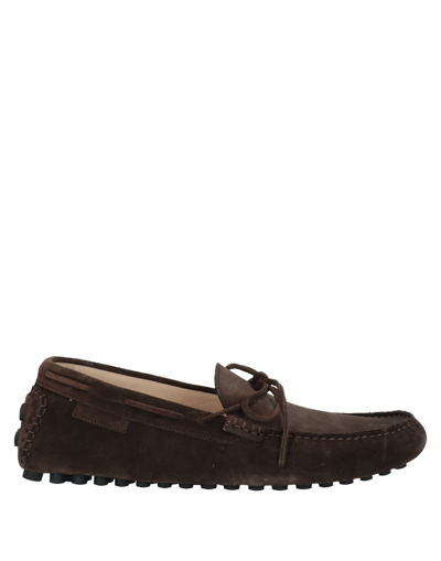 Sergio Rossi Loafers In Brown