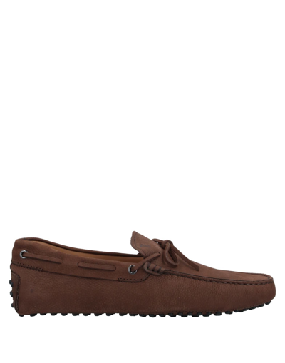 Tod's Loafers In Dark Brown