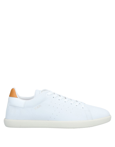 Tod's Sneakers In Light Grey