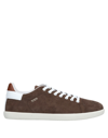 Tod's Sneakers In Brown