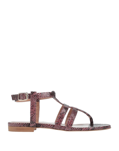 Twinset Toe Strap Sandals In Red