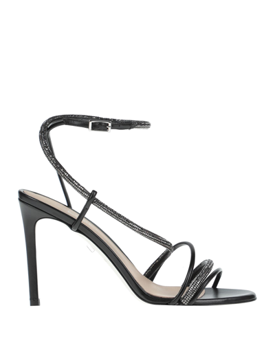 Greymer Sandals In Black