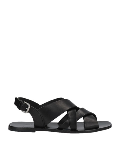 Pollini Sandals In Black