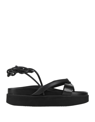 Eqüitare Toe Strap Sandals In Black