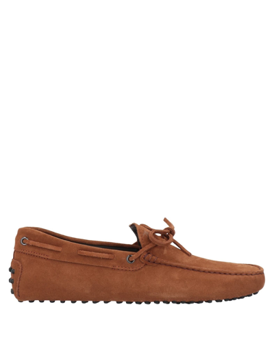 Tod's Loafers In Brown