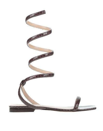 Manila Grace Sandals In Brown