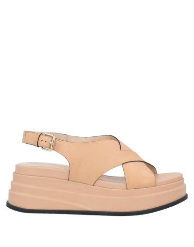 Elvio Zanon Sandals In Blush