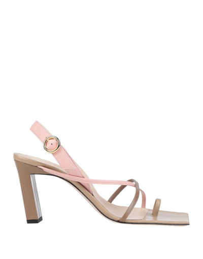 Wandler Toe Strap Sandals In Pink