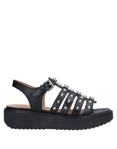 Janet Sport Sandals In Black