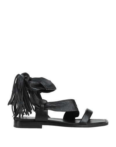 Ash Sandals In Black