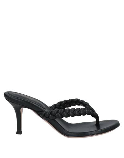 Gianvito Rossi Toe Strap Sandals In Black