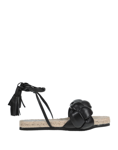 Msgm Sandals In Black