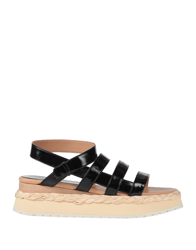 Paloma Barceló Sandals In Black