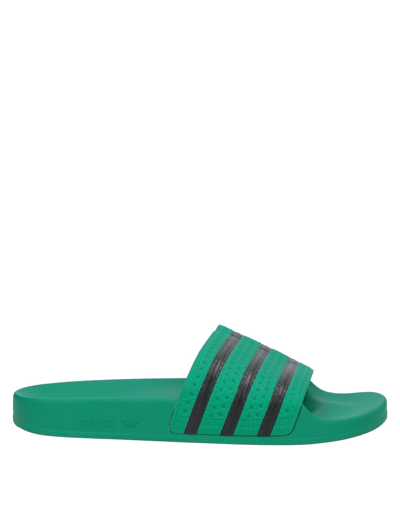 Adidas Originals Sandals In Dark Green