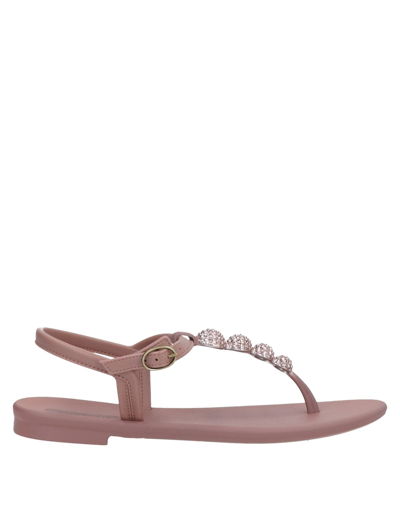 Grendha Toe Strap Sandals In Pink