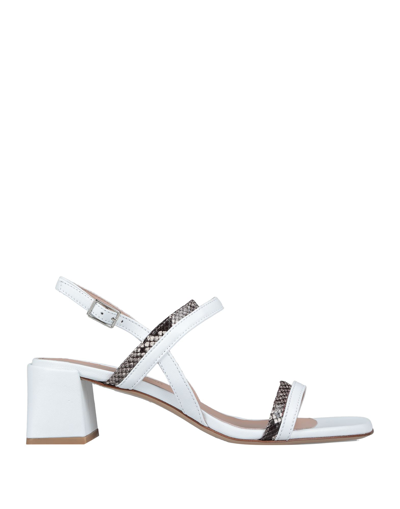 Stelio Malori Sandals In White