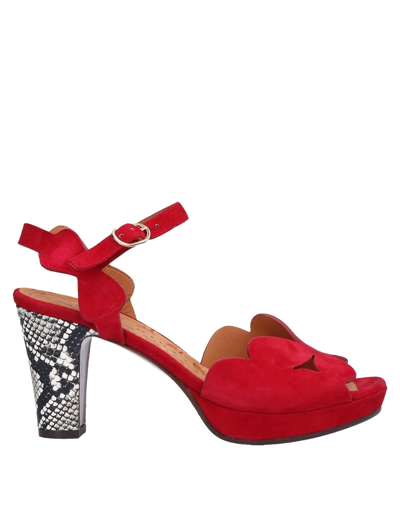 Chie Mihara Sandals In Red