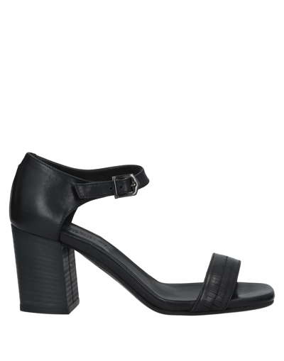 Pantanetti Sandals In Black