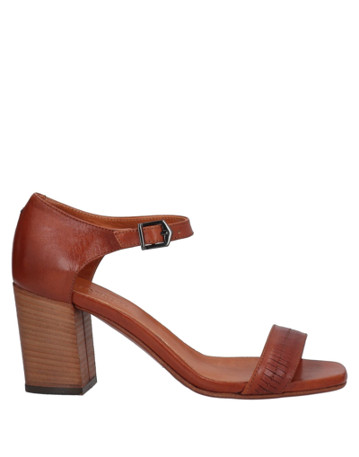 Pantanetti Sandals In Brown