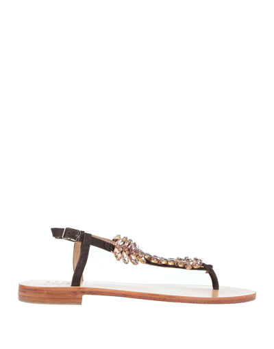 Hadel Toe Strap Sandals In Dark Brown