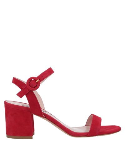 Liu •jo Sandals In Red