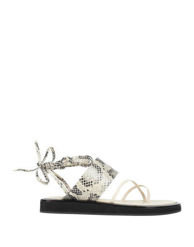 Paris Texas Toe Strap Sandals In White