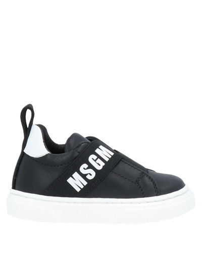 Msgm Sneakers In Black