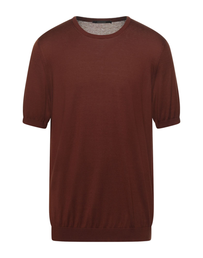 Tagliatore Sweaters In Brown