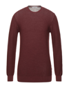 Kangra Cashmere Sweaters In Cocoa