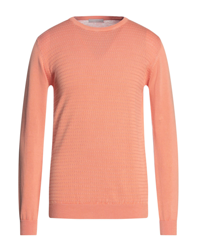 Sseinse Sweaters In Orange